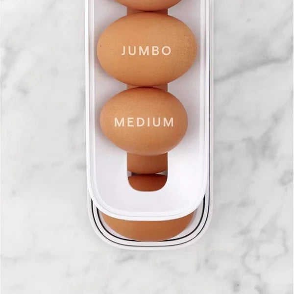 egg holder